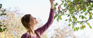 Woman Picking Fruit from Tree